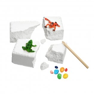 Набор для проведения раскопок "Лягушки" фото книги 4