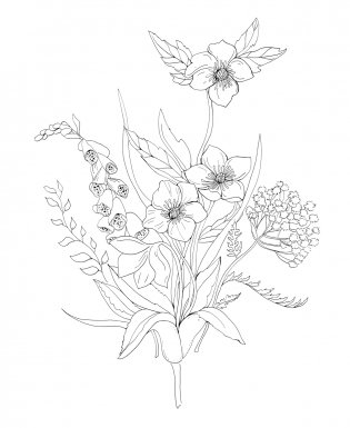 Woodland Wonderland : A Tranquil Coloring Retreat – A Calming Coloring Book of Flowers and Forest Animals for Adults фото книги 4