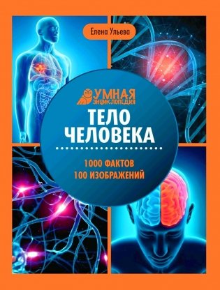 Тело человека: энциклопедия фото книги