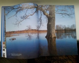 Беларусь. Зямля пад белымi крыламi. Фотаальбом фото книги 2