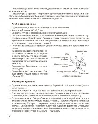 Биология для поступающих в вузы. Подготовка к устному экзамену фото книги 9