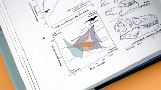 King Tyrant фото книги 3