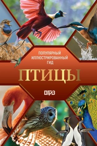 Птицы. Иллюстрированный гид фото книги