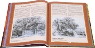 Айвазовский, Шишкин, Левитан. Мастера русского пейзажа фото книги 2