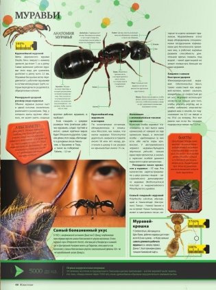 Гиннесс. Мировые рекорды 2017 фото книги 5