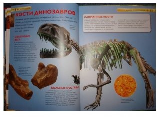 Динозавры. Детская энциклопедия фото книги 7