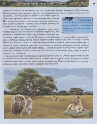 Энциклопедия. Животные фото книги 6