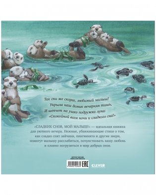 Книжки-картинки. Сладких снов, мой малыш! фото книги 8