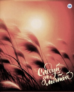 Тетрадь общая 170х205, 4+0, клетка, 48, обложка КАРТОН+ПЛАСТИК, Цитаты 18 фото книги 3