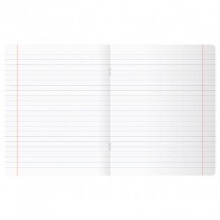 Тетрадь предметная 48 листов, BG Art object - Русский язык, эконом. Арт. ТП5ск48 11615 фото книги 5