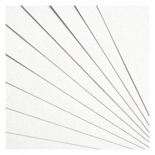 Картон белый А4, Мульти-Пульти, 10 л., немелованный, в папке, "Приключения Енота". Арт. КБ10н_31560 фото книги 5