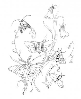 Woodland Wonderland : A Tranquil Coloring Retreat – A Calming Coloring Book of Flowers and Forest Animals for Adults фото книги 8