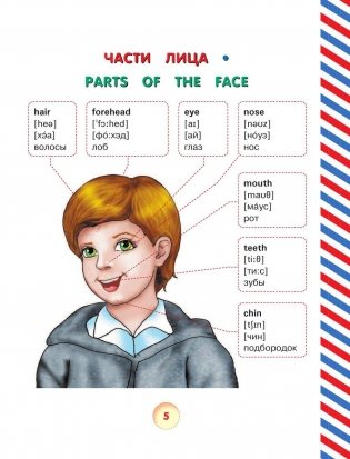 Английский словарь для малышей в картинках фото книги 6