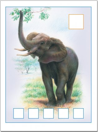 Я считаю до пяти. Для занятий с детьми от 3 до 4 лет фото книги 2