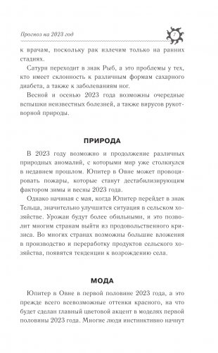 БЛИЗНЕЦЫ. Гороскоп на 2023 год фото книги 8