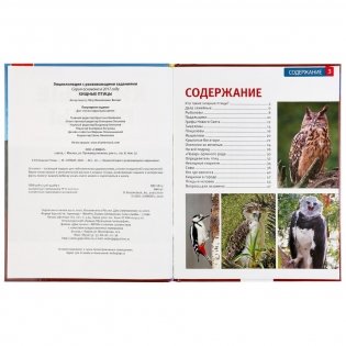 Энциклопедия. Хищные птицы фото книги 2