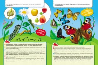 Пальчиковые занятия. Букашки фото книги 3