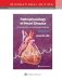 Pathophysiology of Heart Disease: An Introduction to Cardiovascular Medicine фото книги маленькое 2