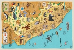 Гигантский атлас животных мира фото книги 2