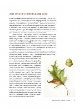 Ботаническая иллюстрация с удовольствием. Пошаговое руководство по изображению цветов, листьев, плодов и других элементов растений фото книги 10