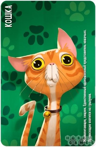 Similo: Животные. Логичные звери фото книги 3