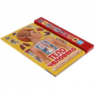 Тело человека. 10 звуковых кнопок фото книги 4