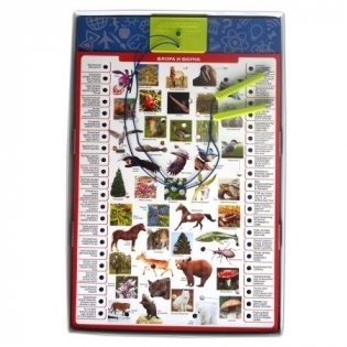 Электровикторина "Россия" фото книги 3