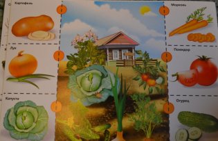 Школа малыша "Фрукты. Овощи. Ягоды" фото книги 5