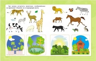Сборник развивающих заданий "Мир вокруг меня. 5+" фото книги 5