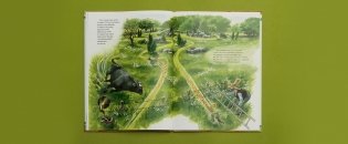 Именинный пирог фото книги 5