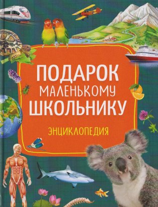 Подарок маленькому школьнику. Энциклопедия для детей фото книги