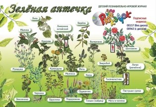 Зеленая аптечка фото книги