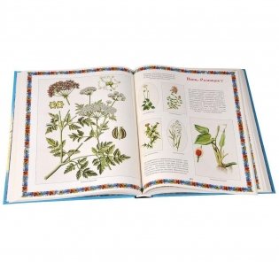 Иллюстрированный календарь русской природы фото книги 5