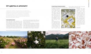 Абсолютно CHANEL. Сборный комплект в коробке фото книги 4