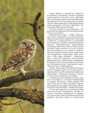 Национальные парки ― жемчужины Беларуси. Нацыянальныя паркі ― жамчужыны Беларусі. National parks ― pearls of Belarus фото книги 5