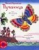 Путаница фото книги маленькое 2
