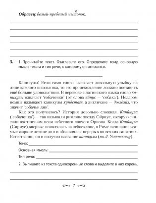 Русский язык. 5 класс. Рабочая тетрадь фото книги 4