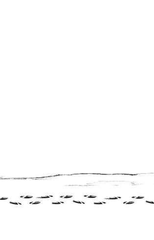 Рождественские истории. Покатай меня, медведица! (выпуск 2) фото книги 7