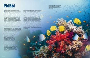 Огромная энциклопедия животных мира фото книги 10