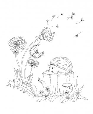 Woodland Wonderland : A Tranquil Coloring Retreat – A Calming Coloring Book of Flowers and Forest Animals for Adults фото книги 13