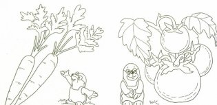 Что растет на даче фото книги 2