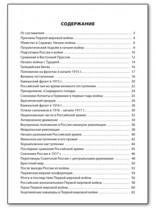 Первая мировая война. Школьный словарик. ФГОС фото книги 5
