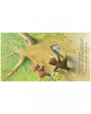 Книжки-картинки. Секрет храброго медвежонка фото книги 7