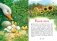 Гадкий утёнок фото книги маленькое 5