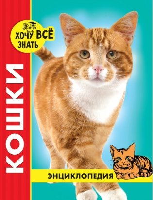 Энциклопедия. Кошки фото книги
