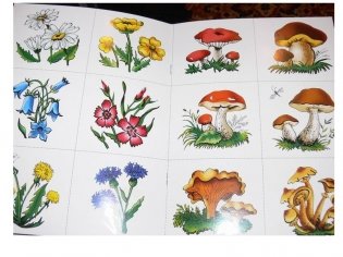 Что лежит в лукошке. Для занятий с детьми от 3 до 4 лет. Книжка с дидактической игрой фото книги 4