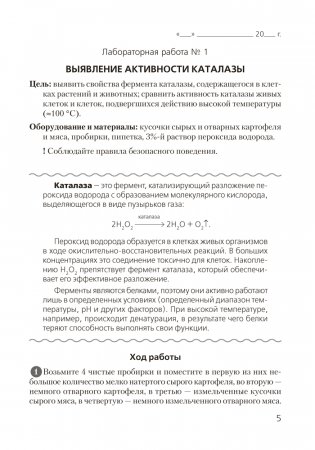 Тетрадь для лабораторных и практических работ по биологии для 11 класса. Базовый уровень. ГРИФ фото книги 4