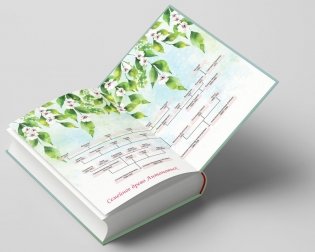 Антоновка фото книги 4