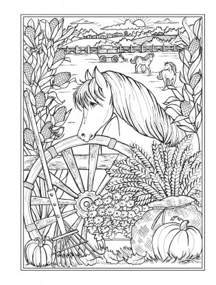Creative haven autumn harvest coloring book фото книги 9