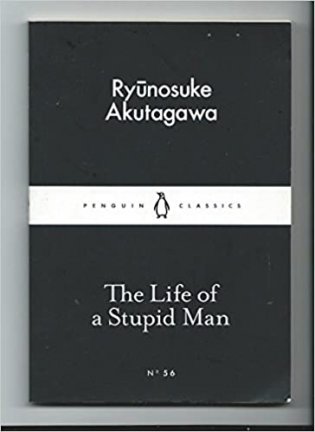 The Life of a Stupid Man фото книги